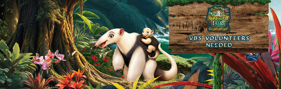 VBS_Volunteer_2026_banner_2.jpg